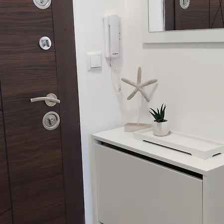 Apartamento теди